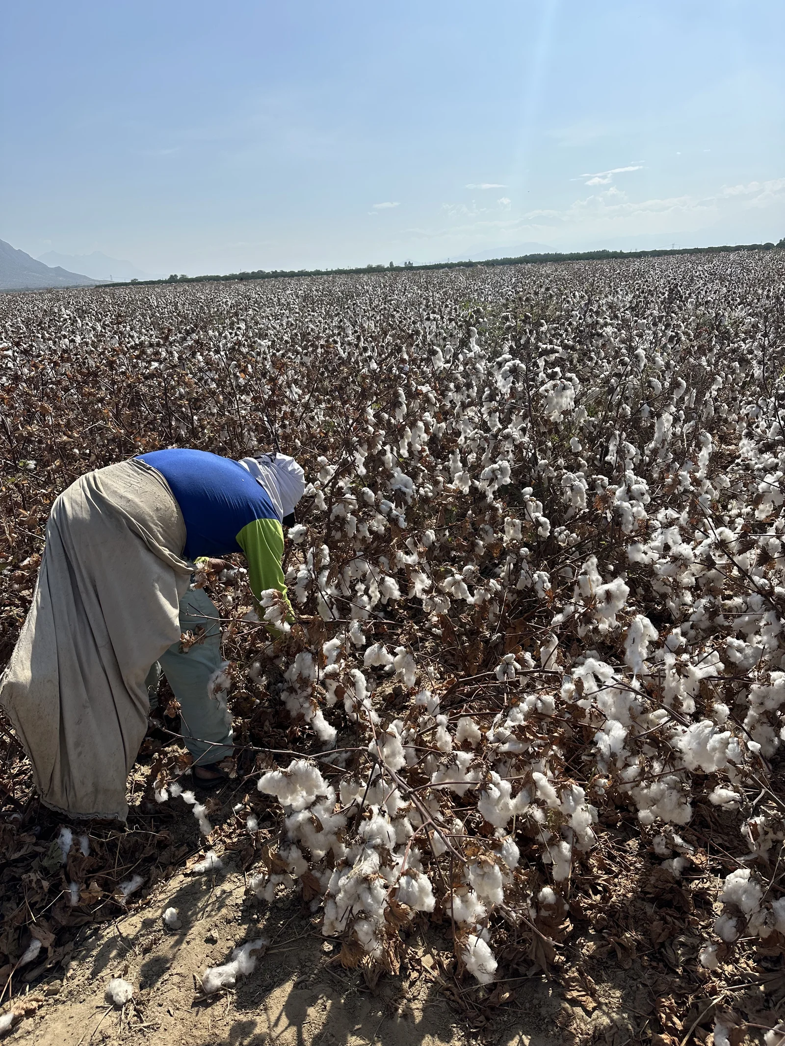 Peru: Between Textile Tradition and Responsible Innovation - Première Vision
